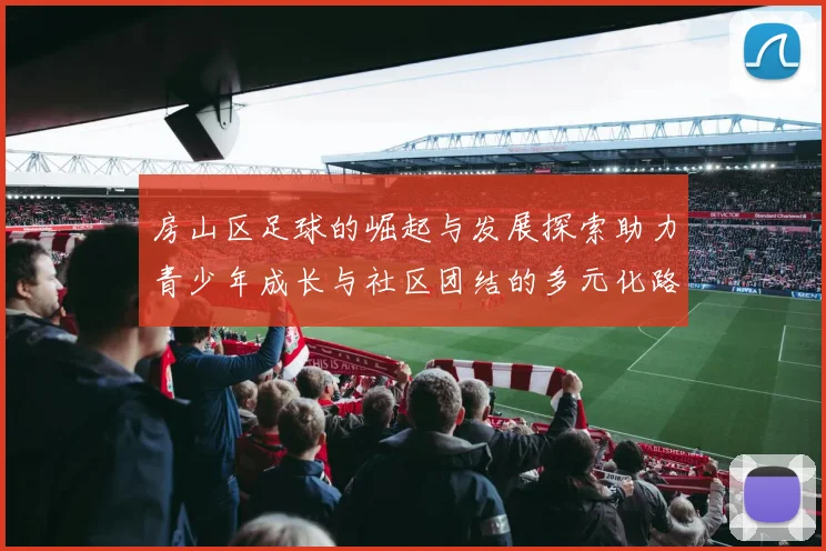 房山区足球的崛起与发展探索助力青少年成长与社区团结的多元化路径