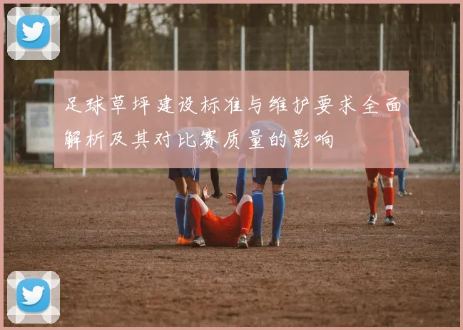 足球草坪建设标准与维护要求全面解析及其对比赛质量的影响