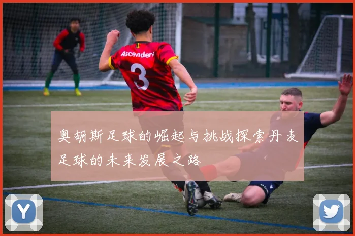 奥胡斯足球的崛起与挑战探索丹麦足球的未来发展之路