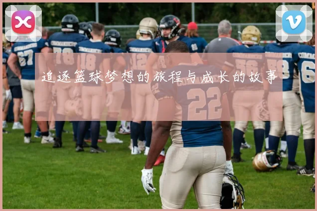 追逐篮球梦想的旅程与成长的故事