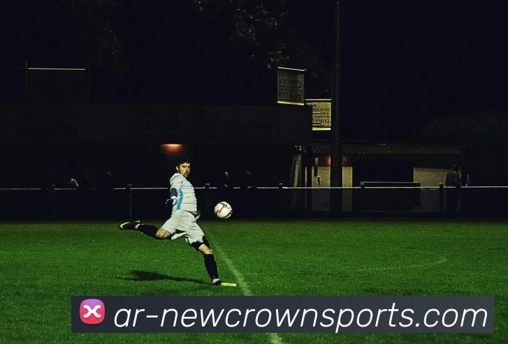 皇冠官网平台生态图